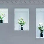 Ona Palm 3* 美洲海滩