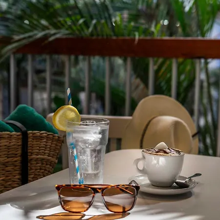 Palm - Excel Hotels&resorts