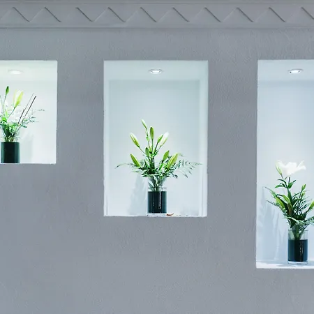 Ona Palm 3* Playa de las Americas (Tenerife)