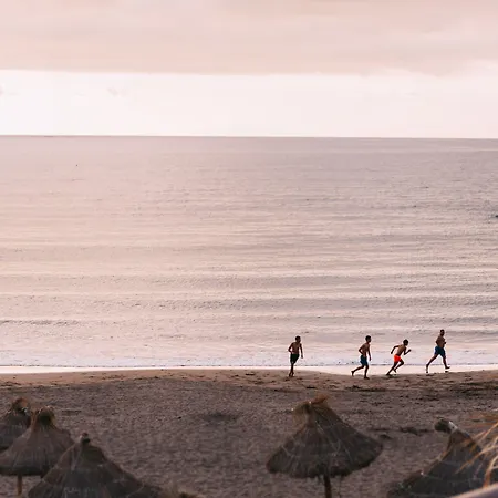 Apart-hotel Ona Palm Playa de las Americas (Tenerife)