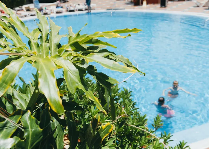 Lejlighedshotel Ona Palm