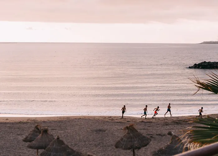 アパートホテル Ona Palm プラヤ・デ・ラス・アメリカス