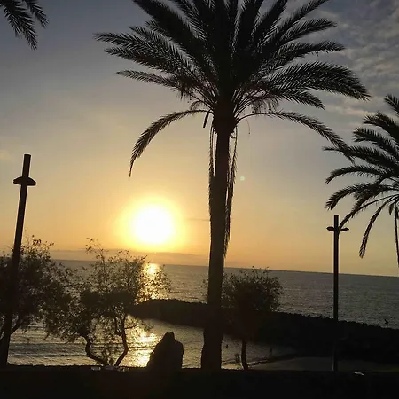 Palm - Excel & 3* Playa de las Americas (Tenerife)